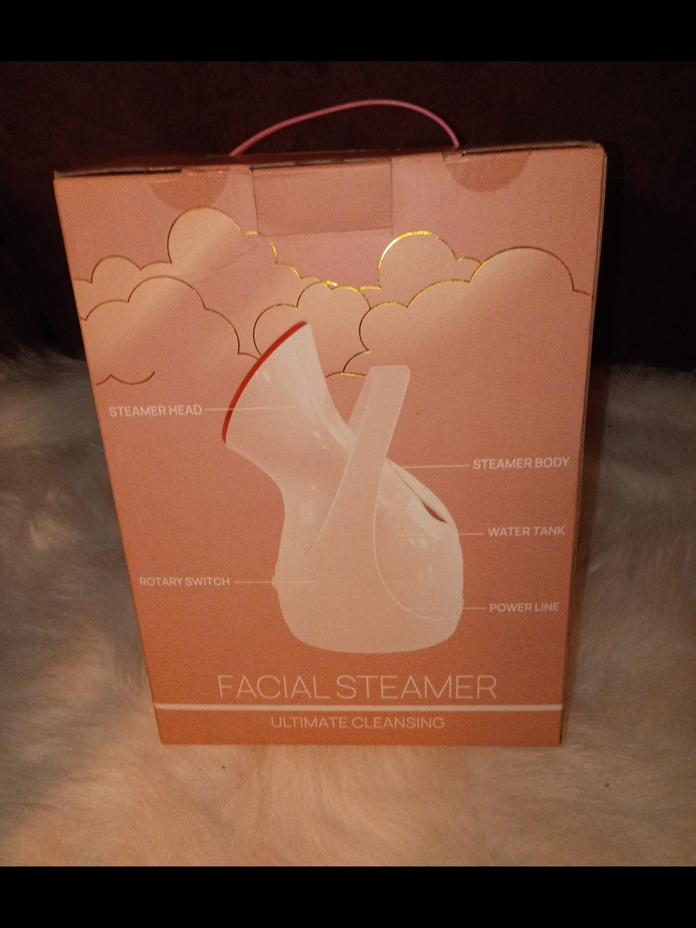 Facial Steamer - Portable Home Face Steamer